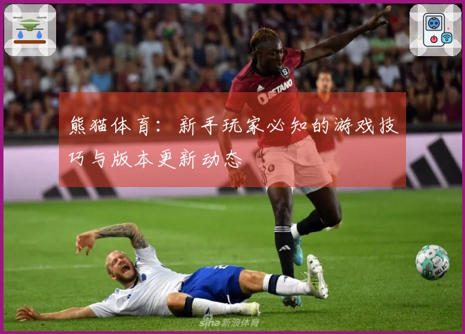 熊猫体育：新手玩家必知的游戏技巧与版本更新动态