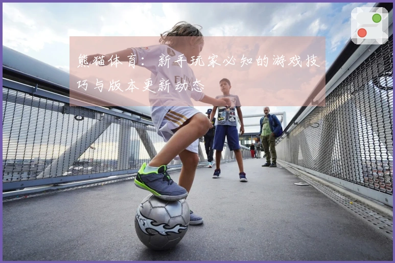 熊猫体育：新手玩家必知的游戏技巧与版本更新动态